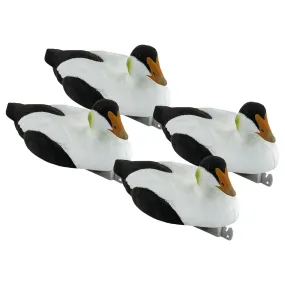 Migration Edition Eider