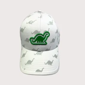 Multi DINO Cap